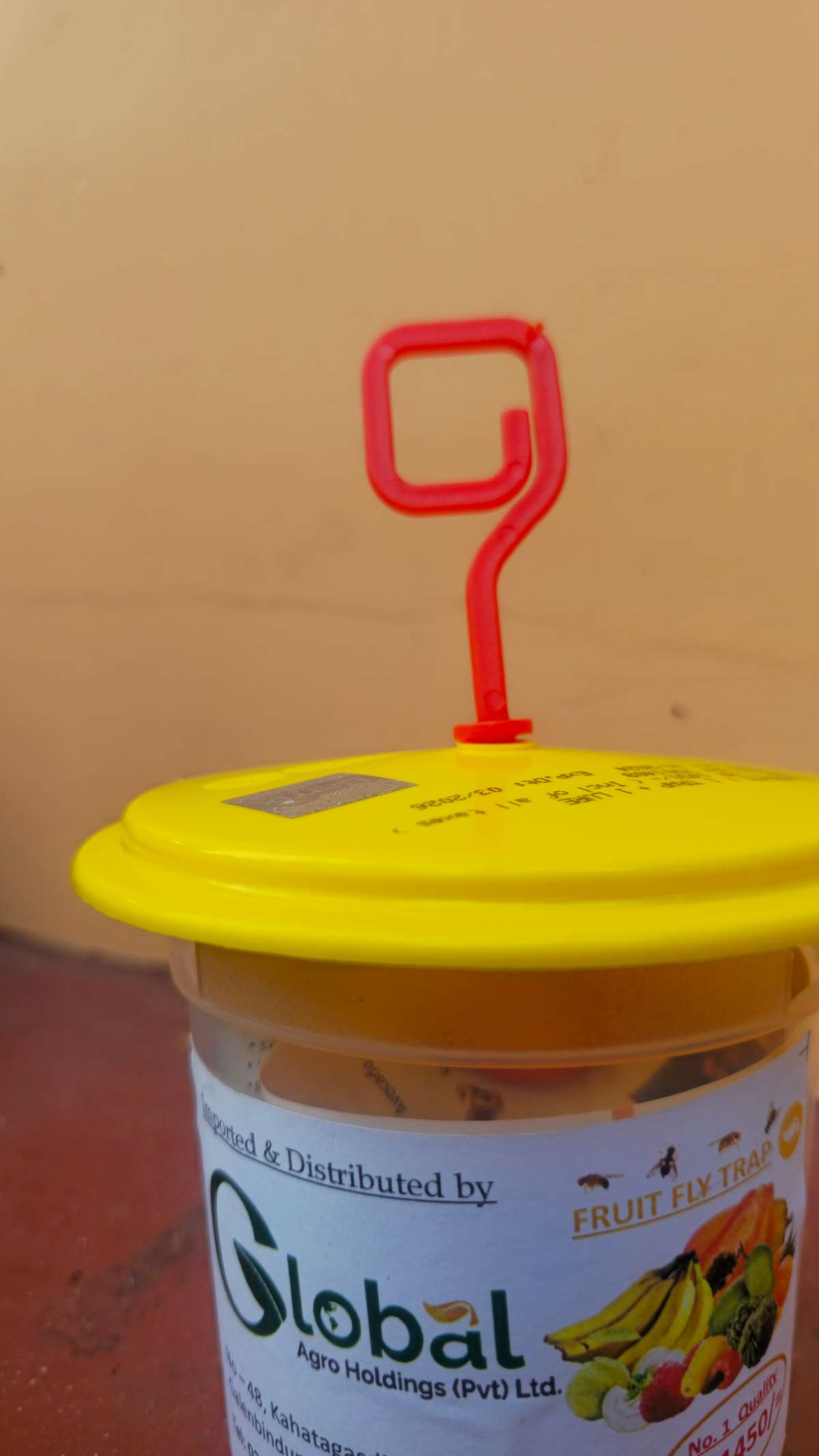 பழ ஈ பொறி (Fruit fly trap) — photo 1 of 3